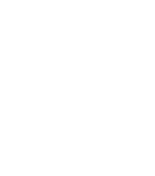 Ziyada Marketing Logo